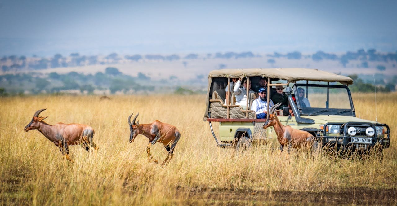 Guided Day Tour Zambia