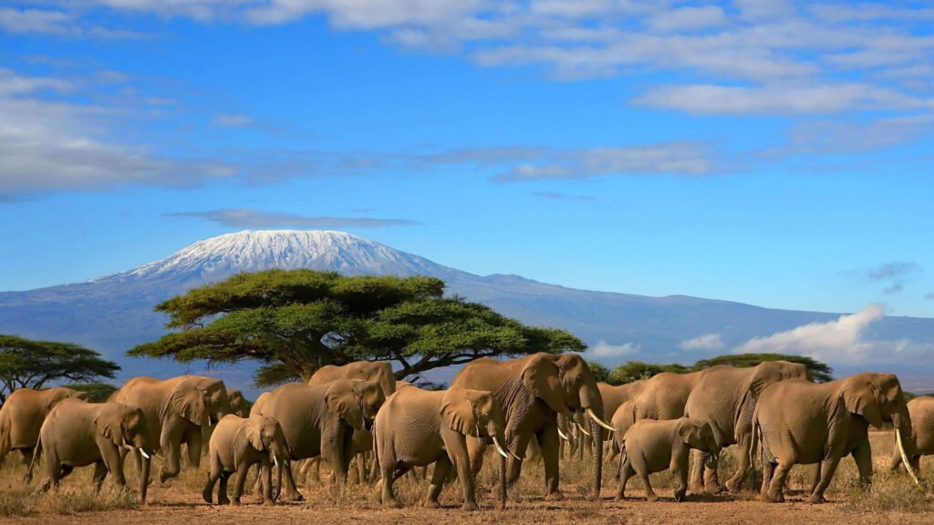 Best Places to Visit in Kenya