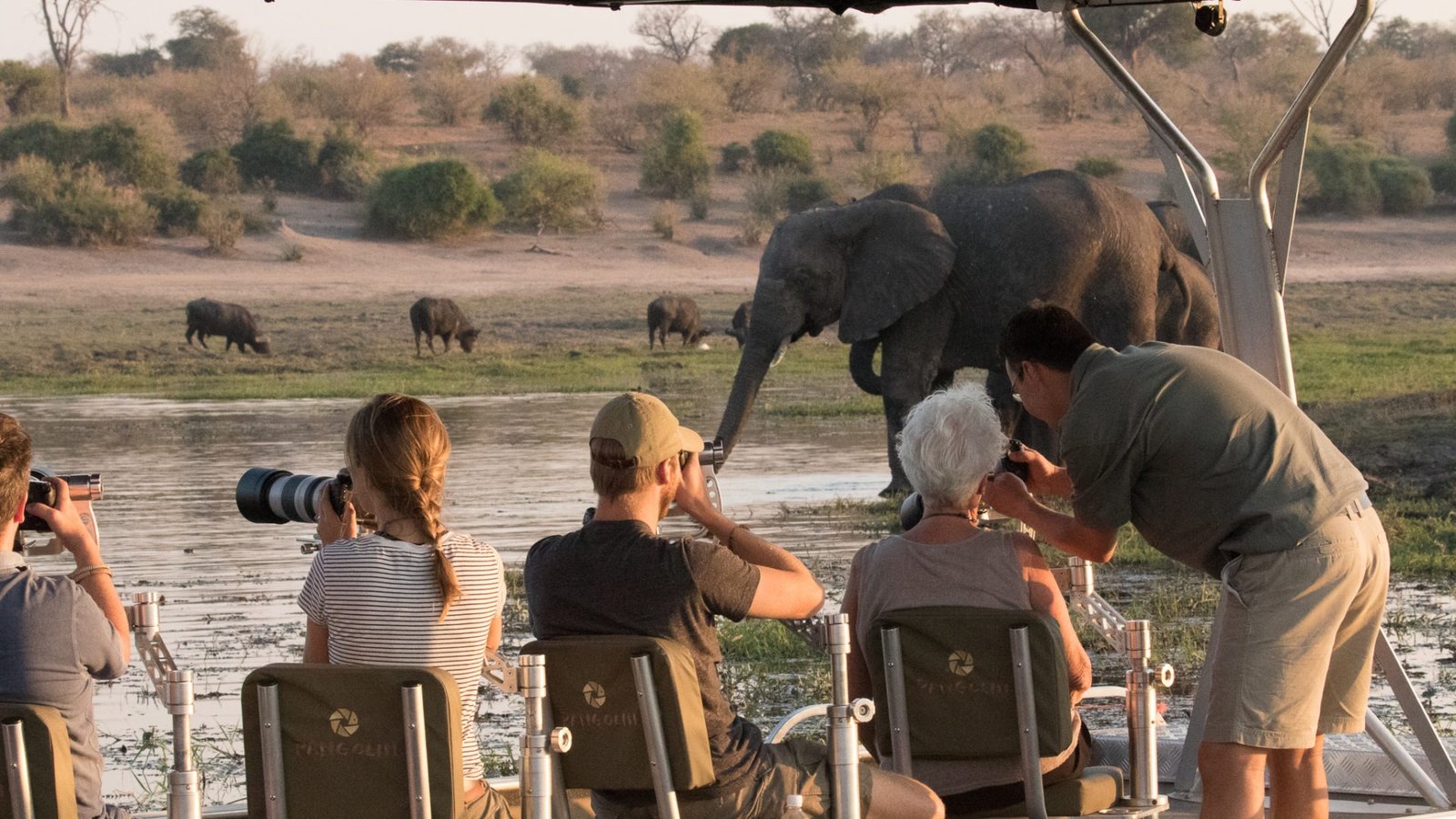 Botswana Safari