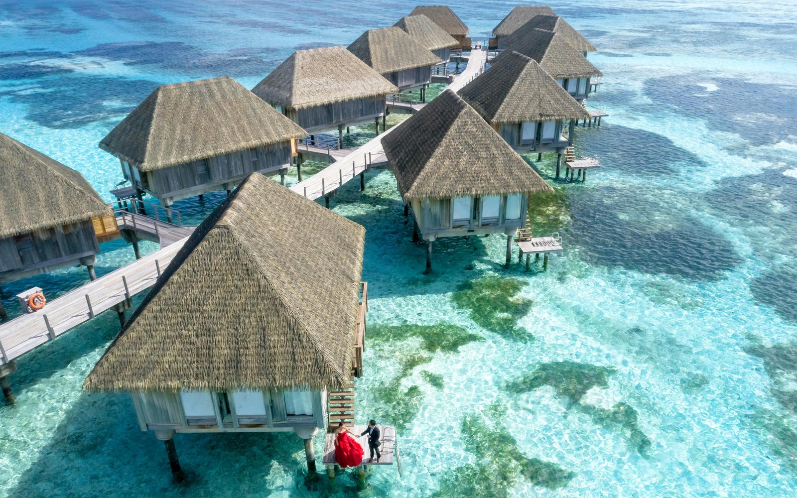 Maldives safari